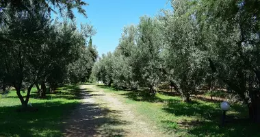 Grundstück in Kalyves Polygyrou, Griechenland