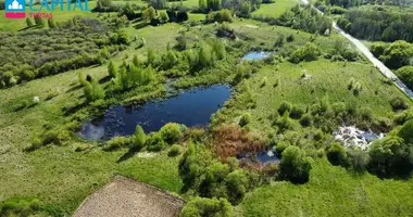 Terrain dans Urneziai, Lituanie