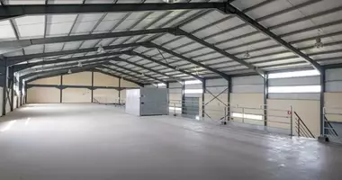 Entrepôt 1 550 m² dans Dali, Bases souveraines britanniques