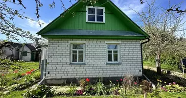 Dom w Krasnienski sielski Saviet, Białoruś