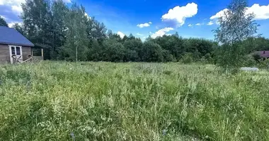 Plot of land in Dziamidavicki sielski Saviet, Belarus