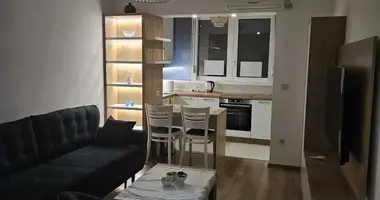Mieszkanie 1 pokój w Czarnogóra