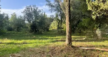 Terrain dans Agios Markos, Grèce