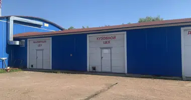 Propriété commerciale 600 m² dans Nizino, Russie