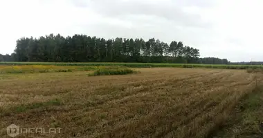 Terrain dans Vetras, Lettonie