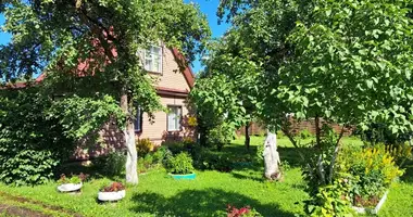 4 room house in Volosovo, Russia