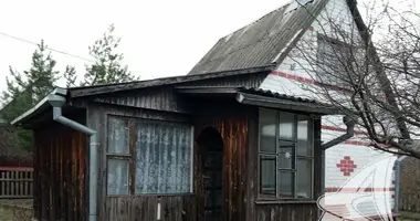 House in Kamianica Zyravieckaja, Belarus