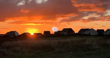 House in Kulikovo, Russia