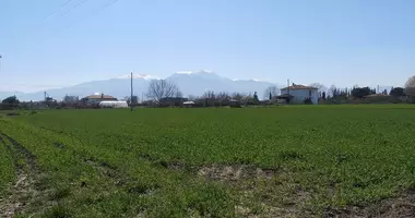 Plot of land in Nea Chrani, Greece