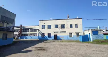 Bureau 2 365 m² dans Biaroza, Biélorussie