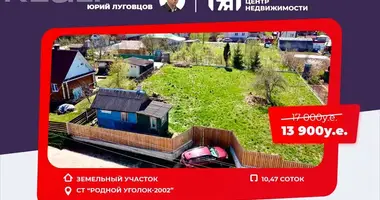 Участок земли в Хатежинский сельский Совет, Беларусь