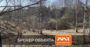 Plot of land in Koltushskoe selskoe poselenie, Russia