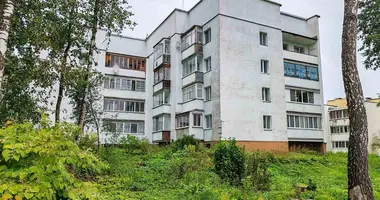 2 room apartment in Narach, Belarus