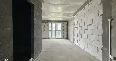 1 room apartment in Minsk, Belarus