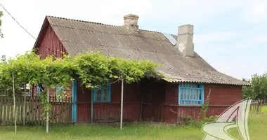 House in Rakitnica, Belarus