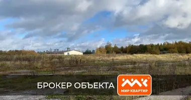 Plot of land in Rahinskoe gorodskoe poselenie, Russia
