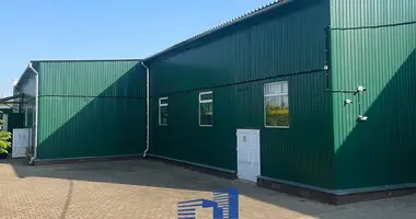 Commercial property 854 m² in Mahilyow, Belarus