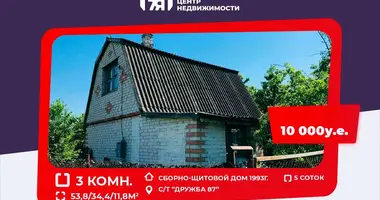 Dom w Dabryniouski sielski Saviet, Białoruś