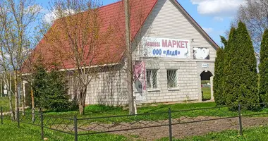 Коммерческое помещение 192 м² в Kalozicy, Россия