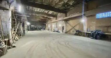 Warehouse 2 611 m² in Lyepyel, Belarus