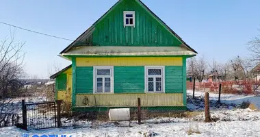 House in Starinki, Belarus