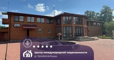 Дом в Плюсский сельский Совет, Беларусь