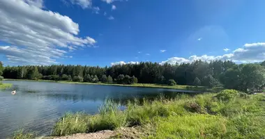 Grundstück in Ivianiecki sielski Saviet, Belarus