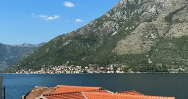 Wohnung 1 Schlafzimmer in Kotor, Montenegro