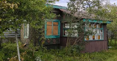 House in Zdanovicki sielski Saviet, Belarus