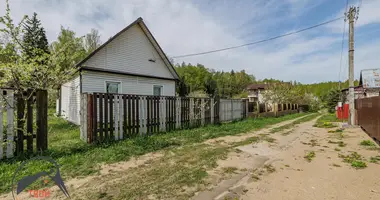 House in Dziescanski sielski Saviet, Belarus