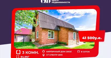 House in Lasanski sielski Saviet, Belarus