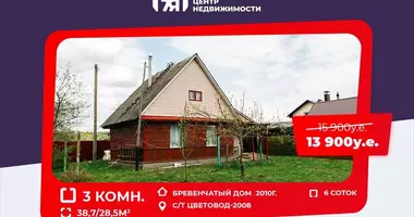 Haus in Zodzinski sielski Saviet, Weißrussland