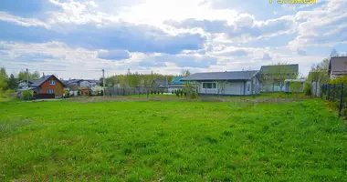 Plot of land in Lahojsk selsaviet, Belarus