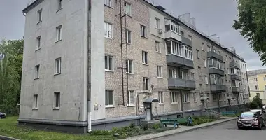 Appartement 1 chambre dans Minsk, Bélarus