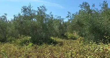 Terrain dans Kato Korakiana, Grèce