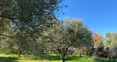 Grundstück in Litsarda, Griechenland