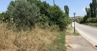 Plot of land in Nikiti, Greece