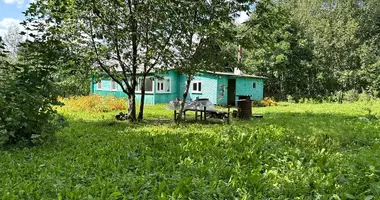 House in Visnieuski sielski Saviet, Belarus