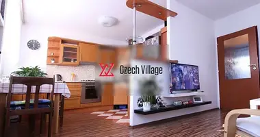 3 bedroom apartment in Prague, Czech Republic