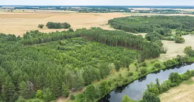 Plot of land in Azuolyte, Lithuania