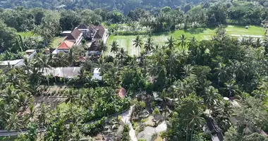 Hotel in Lesser Sunda Islands, Indonesien