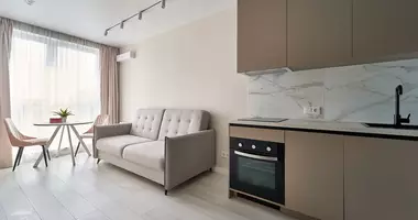 2 room apartment with Furniture, with Kitchen, with Wi-Fi in Minsk, Belarus