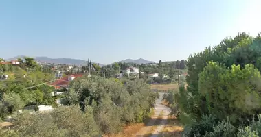Terrain dans Pikermi, Grèce