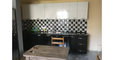 2 bedroom apartment in Tbilisi, Georgia