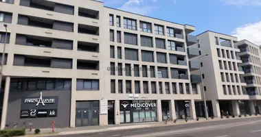 Propriété commerciale 154 m² dans Debreceni jaras, Hongrie