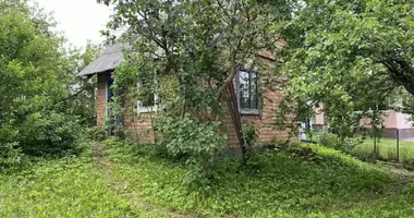 Dom w Piekalinski sielski Saviet, Białoruś