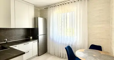 2 room apartment in Minsk, Belarus