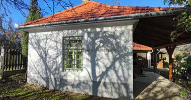 Haus 1 Zimmer in Tuerje, Ungarn
