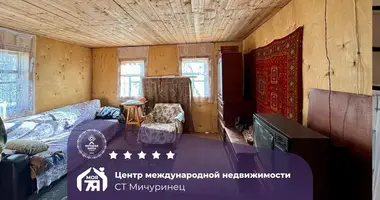 Haus in Alahnovicy, Belarus