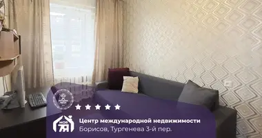 Дом в Борисов, Беларусь